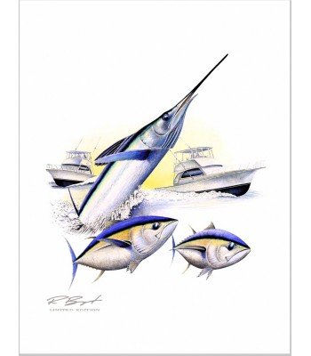 "White Out" White Marlin
